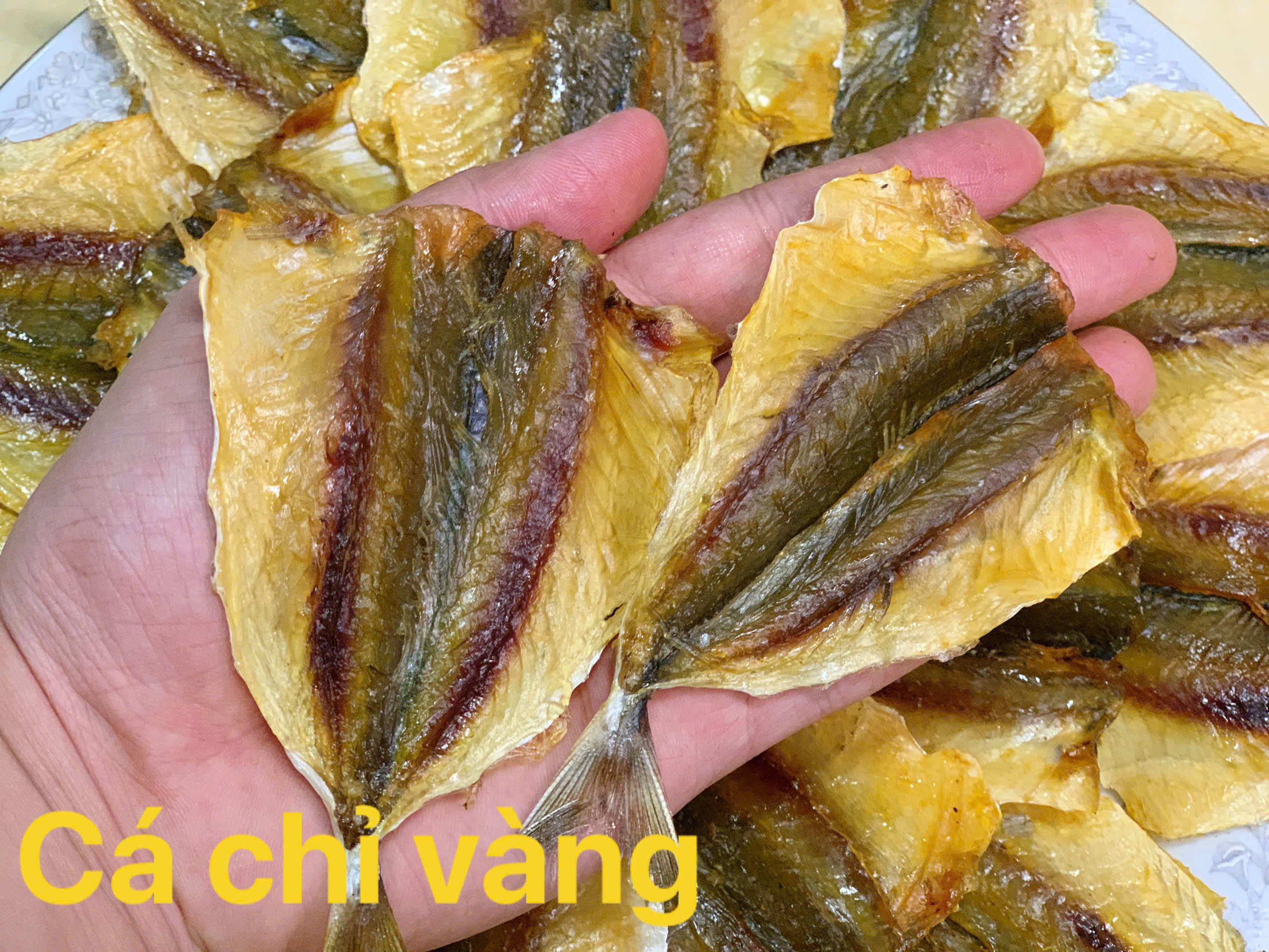 Cá chỉ vàng loại 1 - Đại Lãnh Sơn Ngàn