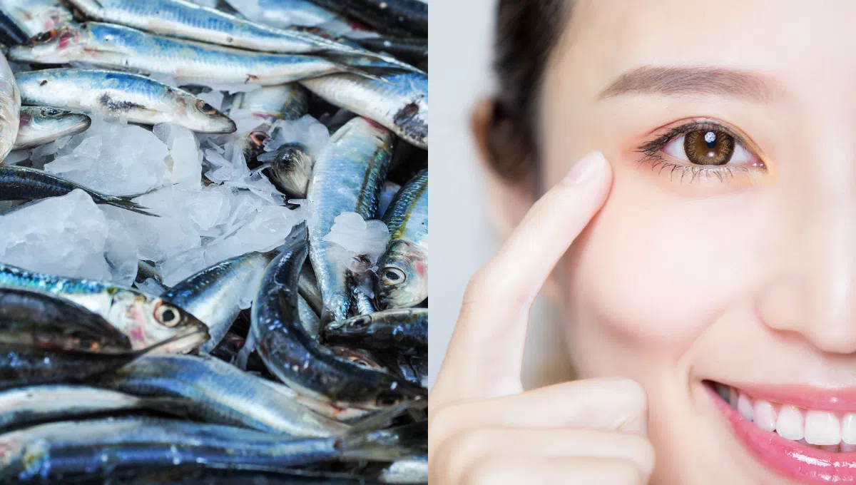 Lợi ích sức khỏe tiềm ẩn của việc ăn cá khô Ăn cá khô mang lại những lợi ích sức khỏe nào? Nghiên cứu khoa học nói gì về tác động của cá khô đến tim mạch, trí não, và các chức năng khác của cơ thể?