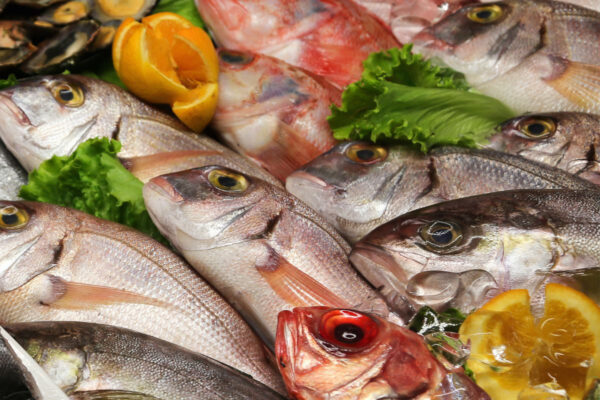 Ảnh hưởng của phương pháp chế biến đến hàm lượng Protein trong cá chỉ vàng khô Bí quyết giữ trọn dinh dưỡng.