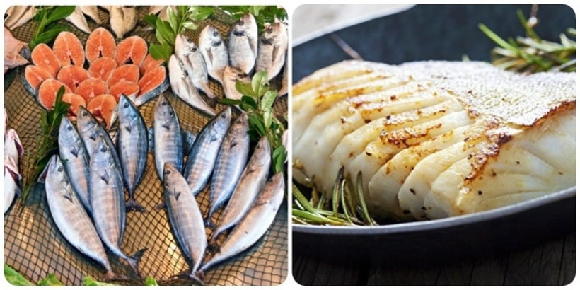 Cá khô và giá trị dinh dưỡng: Phân tích chi tiết các thành phần dinh dưỡng có trong cá khô (protein, omega3, vitamin, khoáng chất) và so sánh với cá tươi, giúp người đọc hiểu rõ lợi ích và hạn chế của cá khô.
