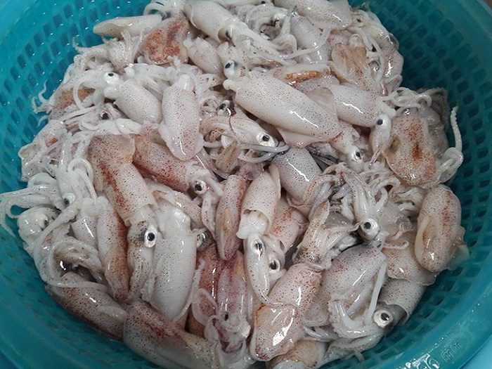 Cách chọn mực khô sạch, an toàn cho bé: Bí quyết từ chuyên gia.