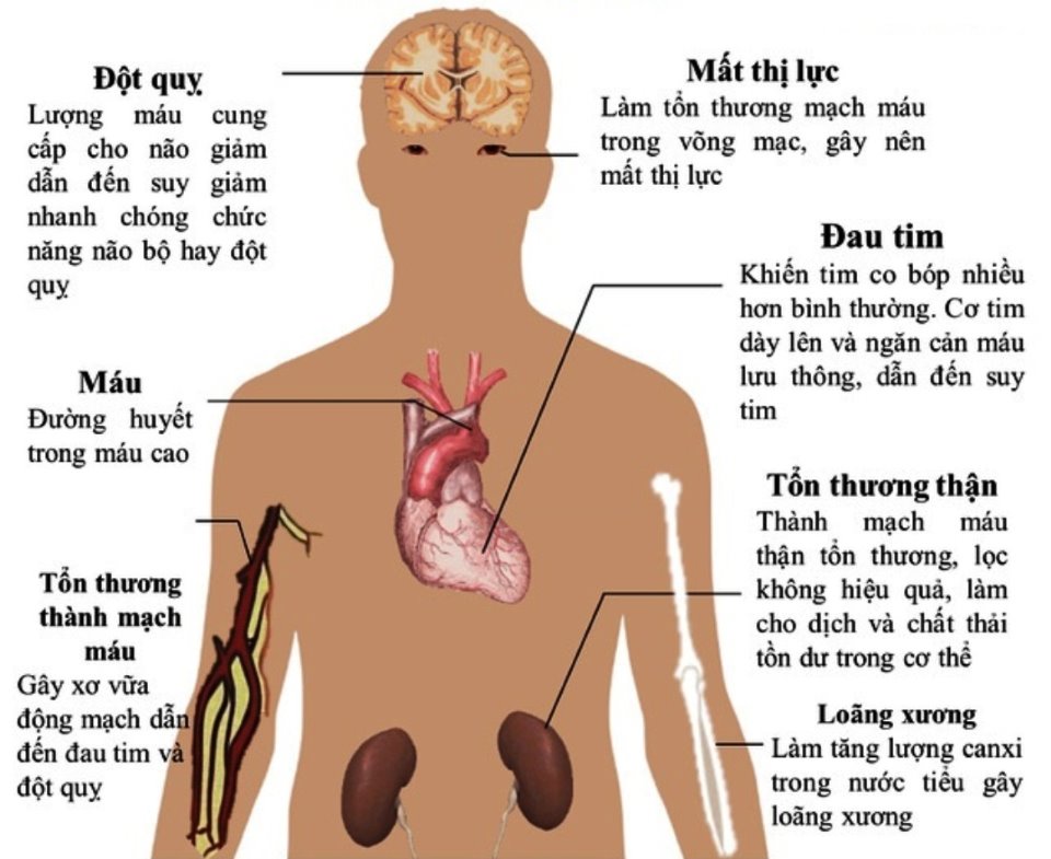 Ảnh hưởng của cá khô đến tim mạch và huyết áp: Cảnh báo quan trọng